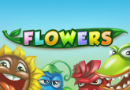 flowers_130x90